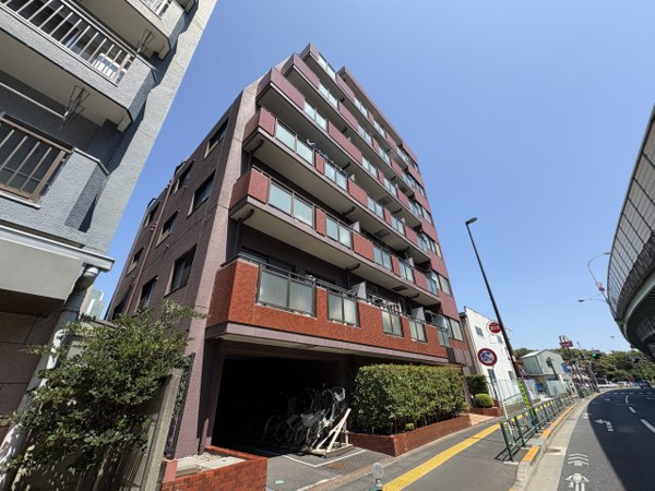 セザール北綾瀬の画像