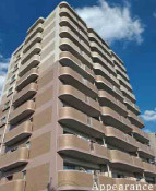 外観：343000089059