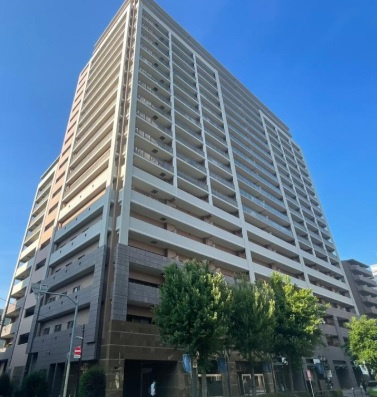 外観：313004575491