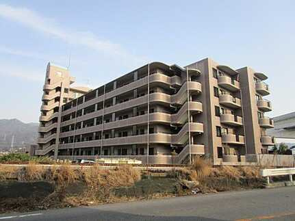 外観：334000223905