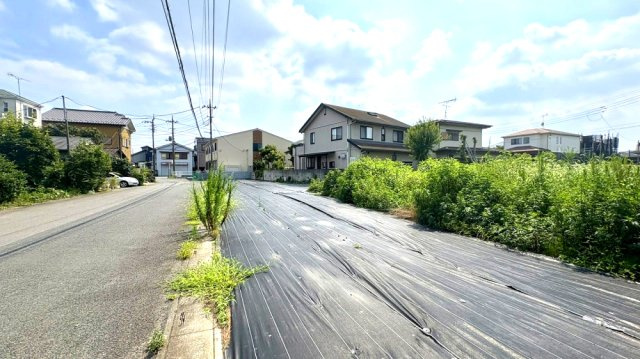 令和8年7月撮影