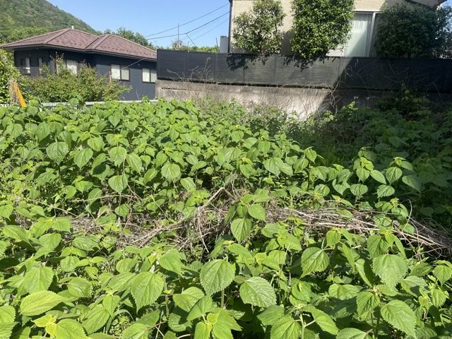 人が暮らすうえで日光は大切な要素となります。日当たりの良さは譲れないポイントですね。併せて近くに大きな建築物の建築予定がないか、あるいはそれが可能な土地が近くにないか事前に確認することもお勧めします。