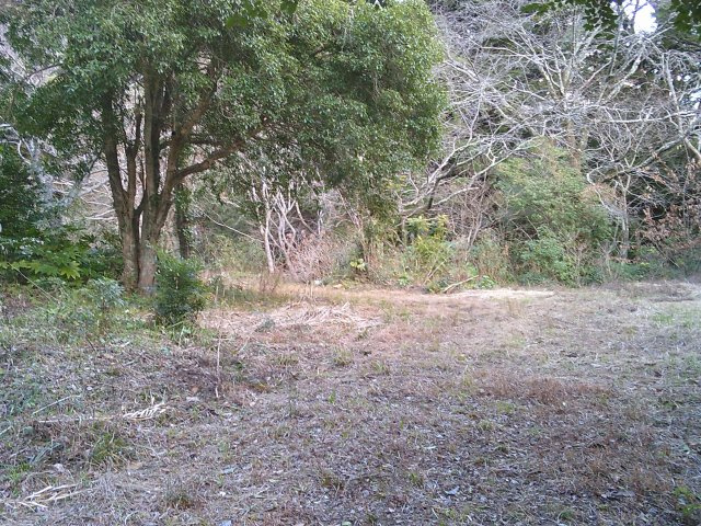 外観：322000569738