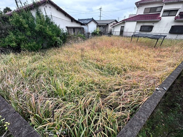 外観：346000038346