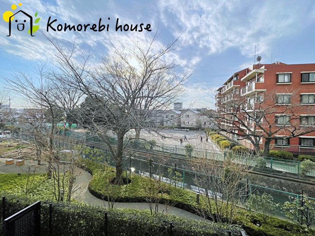 1月5日撮影済み