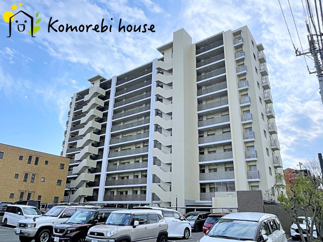 1月5日撮影済み