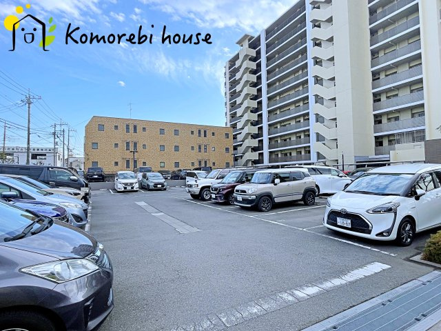 1月5日撮影済み