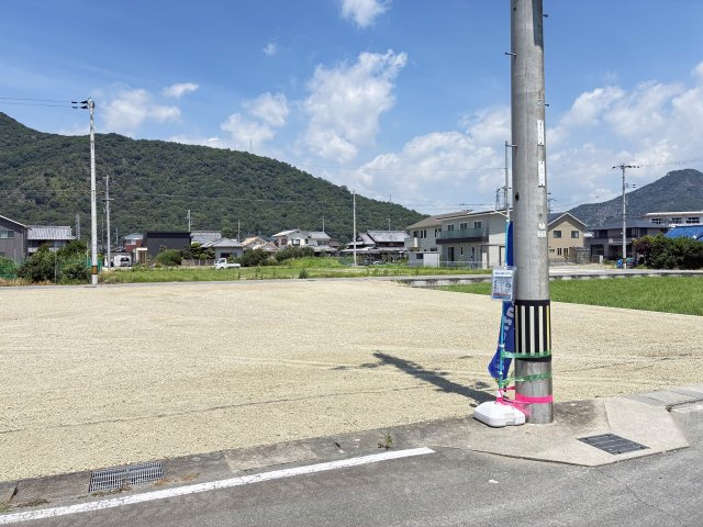 【現地写真】
