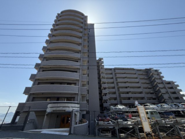 外観：334000239439