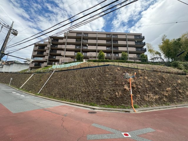 外観：314002676271