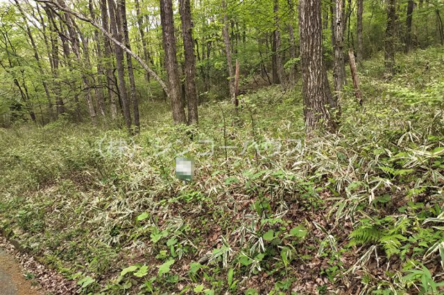 外観：309000078436