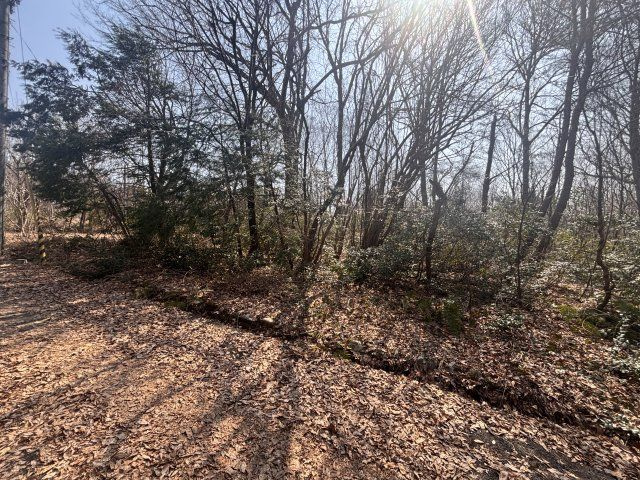 外観：325000119284