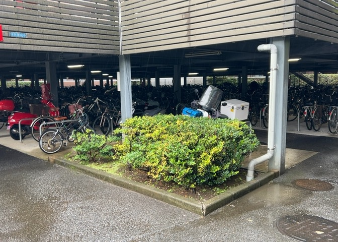 敷地内に用意されている屋根付きの駐輪場エリアです。自転車の整理整頓が整っており、雨の日でも愛車が濡れにくい設計になっています。ご利用をご希望の際は、事前に空き状況をご確認いただくことをおすすめします。