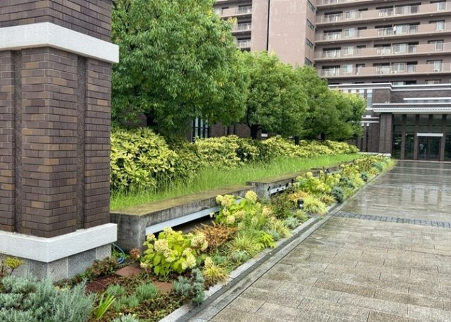 マンション敷地内に設けられた共有の庭園スペースです。美しい緑が整えられており、敷地内を散策する際にも心地よい癒やしの空間となっております。大規模マンションならではの充実した共用環境が魅力です。