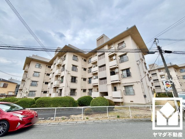 外観：326000231641