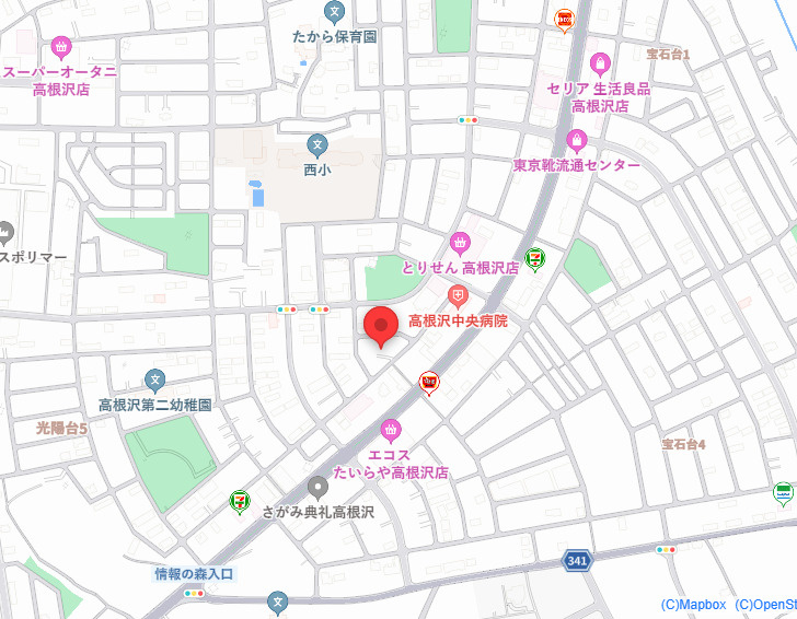 ナビ：高根沢町光陽台12-11付近