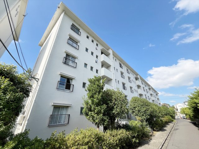 外観：314002665550