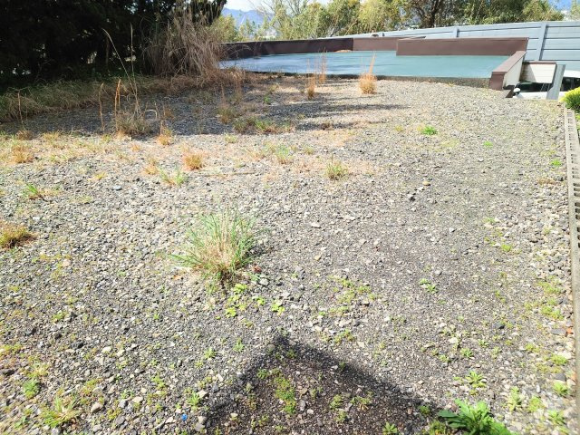 外観：322000557667