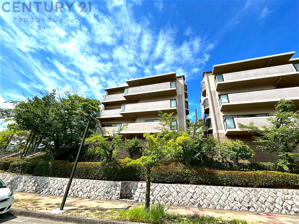 外観：328000593126