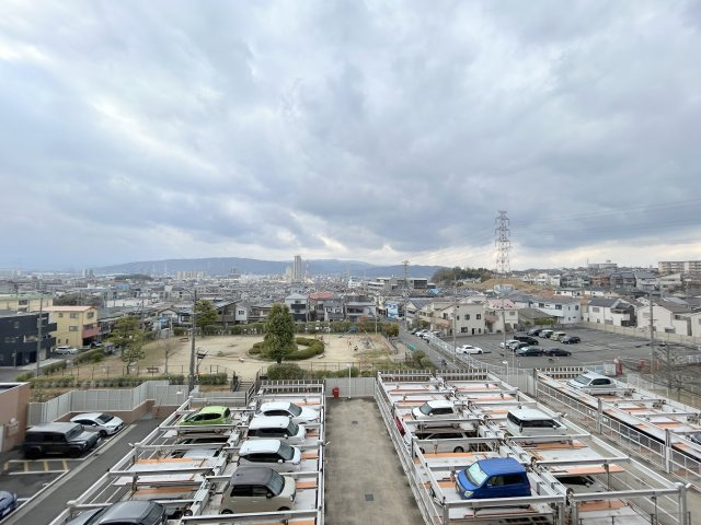 展望