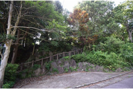 伊豆急伊豆高原城ケ崎地区 戸建の外観