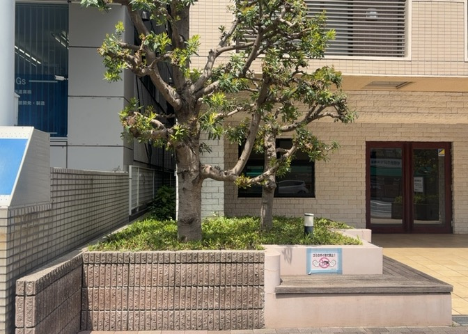 物件によっては、入居者が個人的に使用できる専用庭がついているものもあります。また、住宅の中にある土間の部分を庭と呼ぶこともあります。庭の用途は住む人によって変わり、それによってデザインもさまざまです。