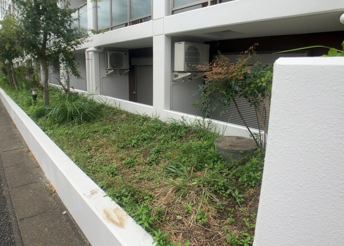 庭があることでガーデニングや家庭菜園はもちろん、こどもの遊び場やペットを放して遊ぶことができます。また、家の周囲に余裕があるということです。隣地との間があれば、十分な日当たりと、風通しが確保できます。