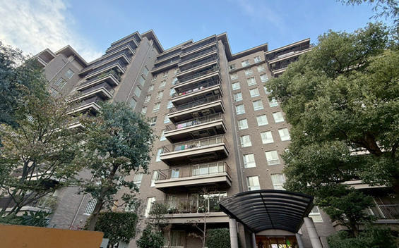 外観：313004614361