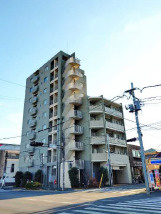 外観：313004695511