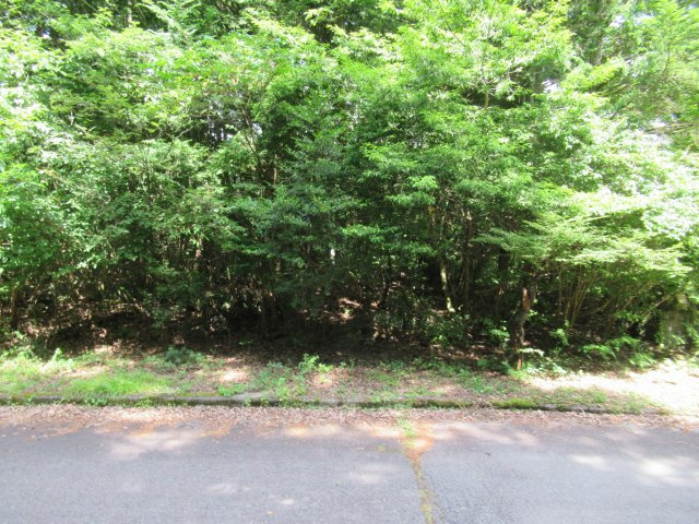 外観：319000011224