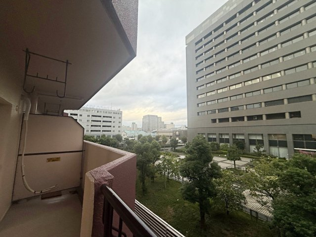 展望