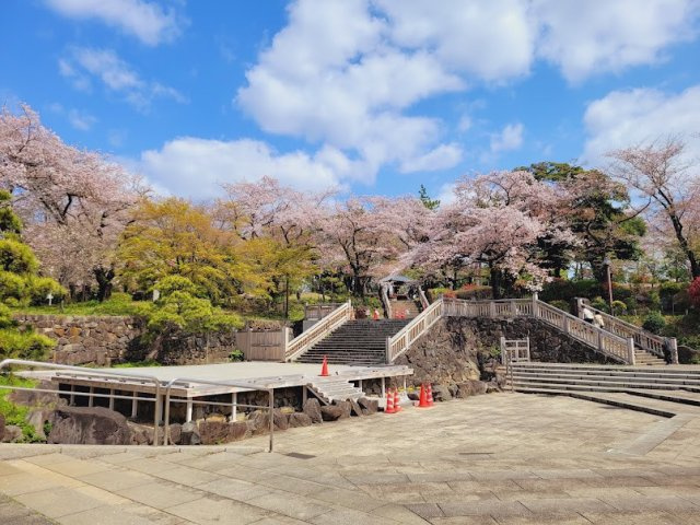 飛鳥山公園。休日のお散歩やお子さまものびのび遊べ四季を楽しめるロケーション。