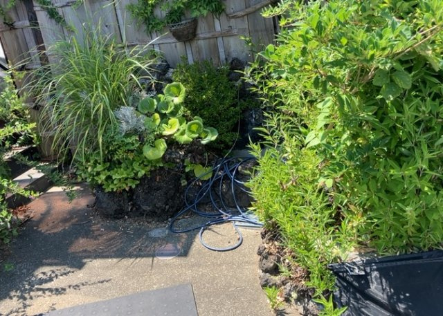 敷地内に散水栓や立水栓があると便利です。水道水を直接利用できるため、水を運ぶ手間を省くことが出来ます。大量の水を必要とする洗車作業や清掃などに役立ちます。その他設備とあわせて、現地でご確認ください。
