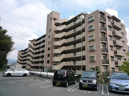 外観：334000216776