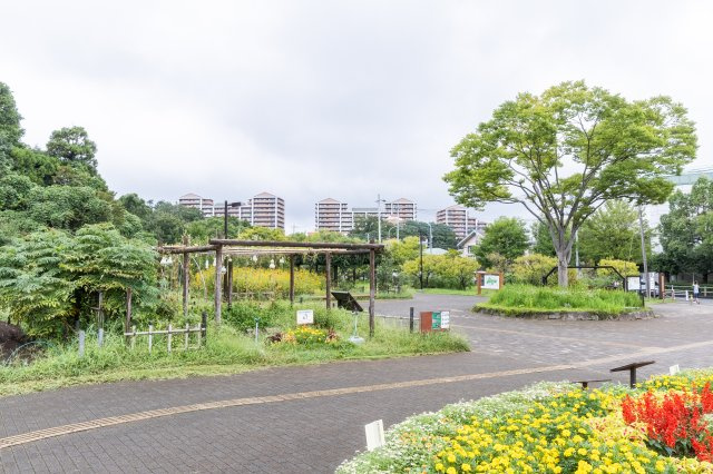 周辺には小山内裏公園があり、気持ちよくお散歩することができます