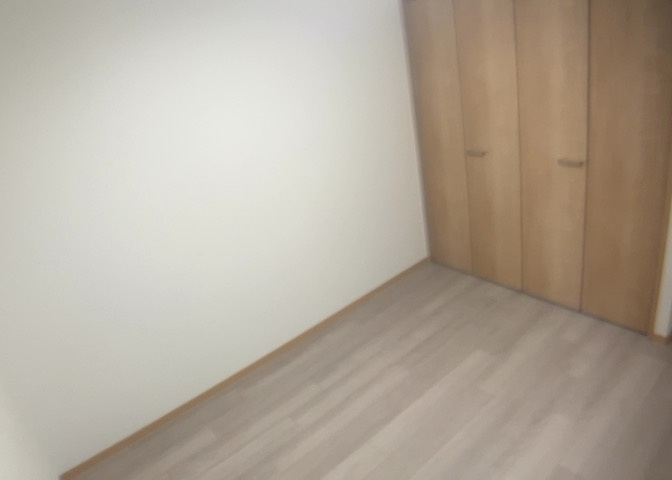 洋室のメリットは重い家具が置きやすく、身の回りが整理しやすいことです。　床がフローリングのため畳とは異なり凹みにくいです。　クローゼットなど収納が豊富で、普段使わない旅行カバンや服の整頓も簡単にです。