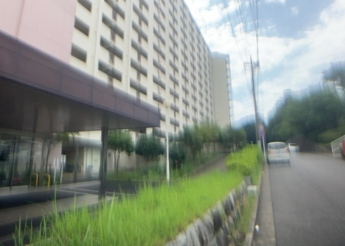 外観：314002823827