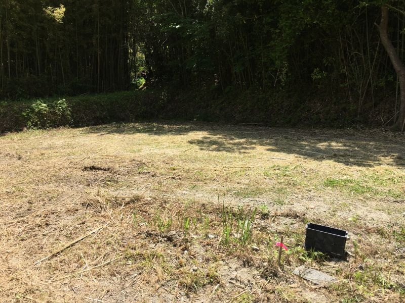 ■夏は近隣を気にせず思いっきり虫取りやプール、BBQが楽しめる！