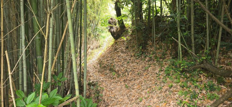 ■山探索もできます♪