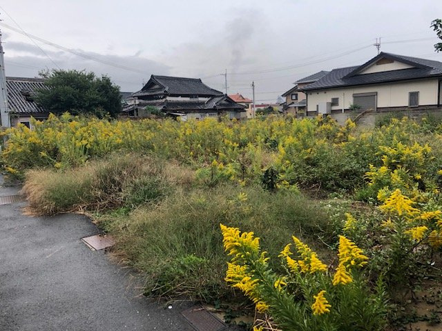外観：330000084634