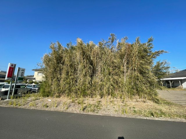 外観：346000012079