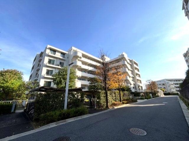 外観：313004496419