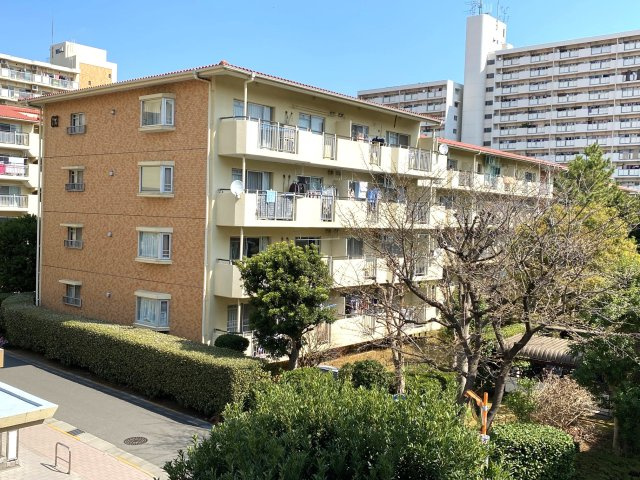 外観：313004662049