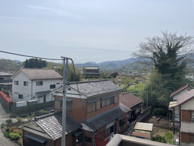 展望