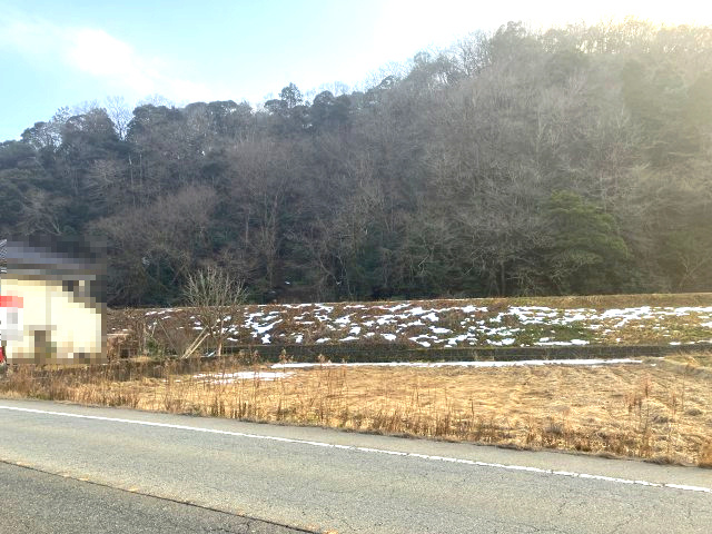 外観：328000596731