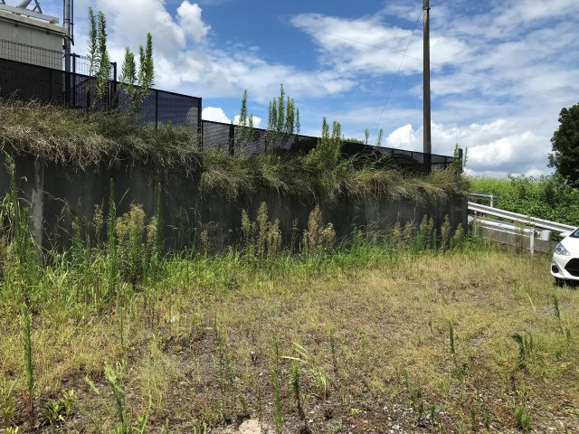 外観：346000012076