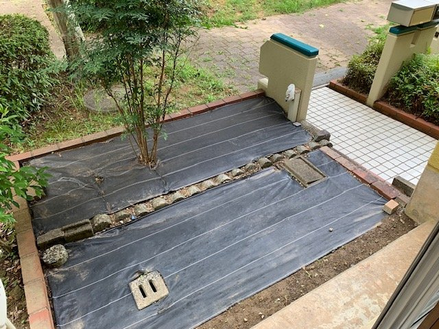 庭