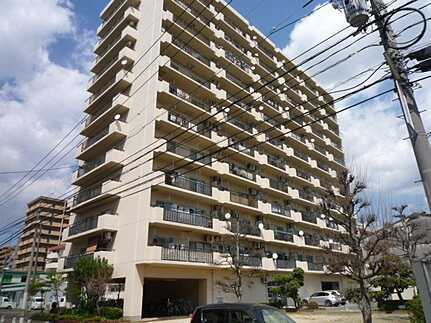 外観：334000239167