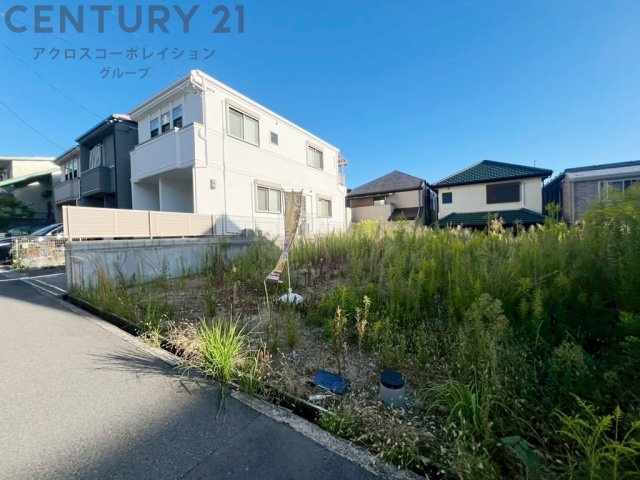 外観：327002179065