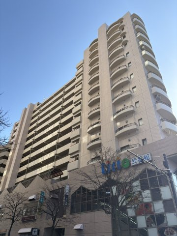 外観：313004566911